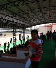 Photo 6