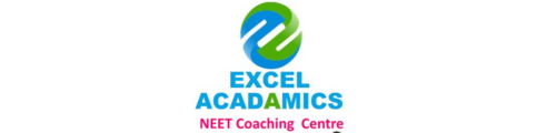 Excel Academy Bangalore Logo