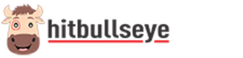 Hitbullseye Chandigarh Logo