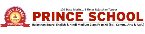 Prince RBSE School Sikar