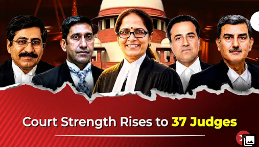 Physics Wallah Judiciary Online Coaching Hero Slider - 3