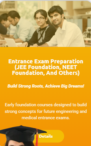 Entrance Exam Preparation (JEE Foundation, NEET Foundation, and Others) - offered by Spring Dales Coaching Center Jaipur 