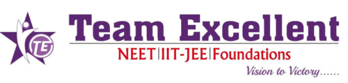 Team Excellent Academy Patna Logo