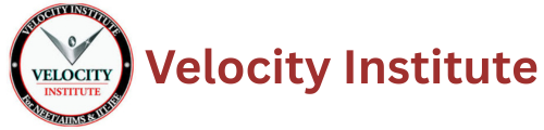 Velocity Institute Faridabad  Logo